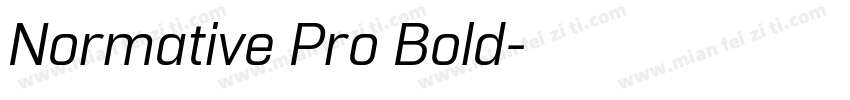 Normative Pro Bold字体转换